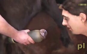 beastiality videos, sexy scenes